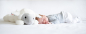 Preview: DEX musical soft toy
