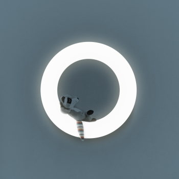 WALL Light with Otis, Fay an Rex