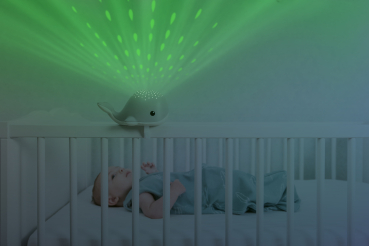 Preview: WALLY Projector Pink