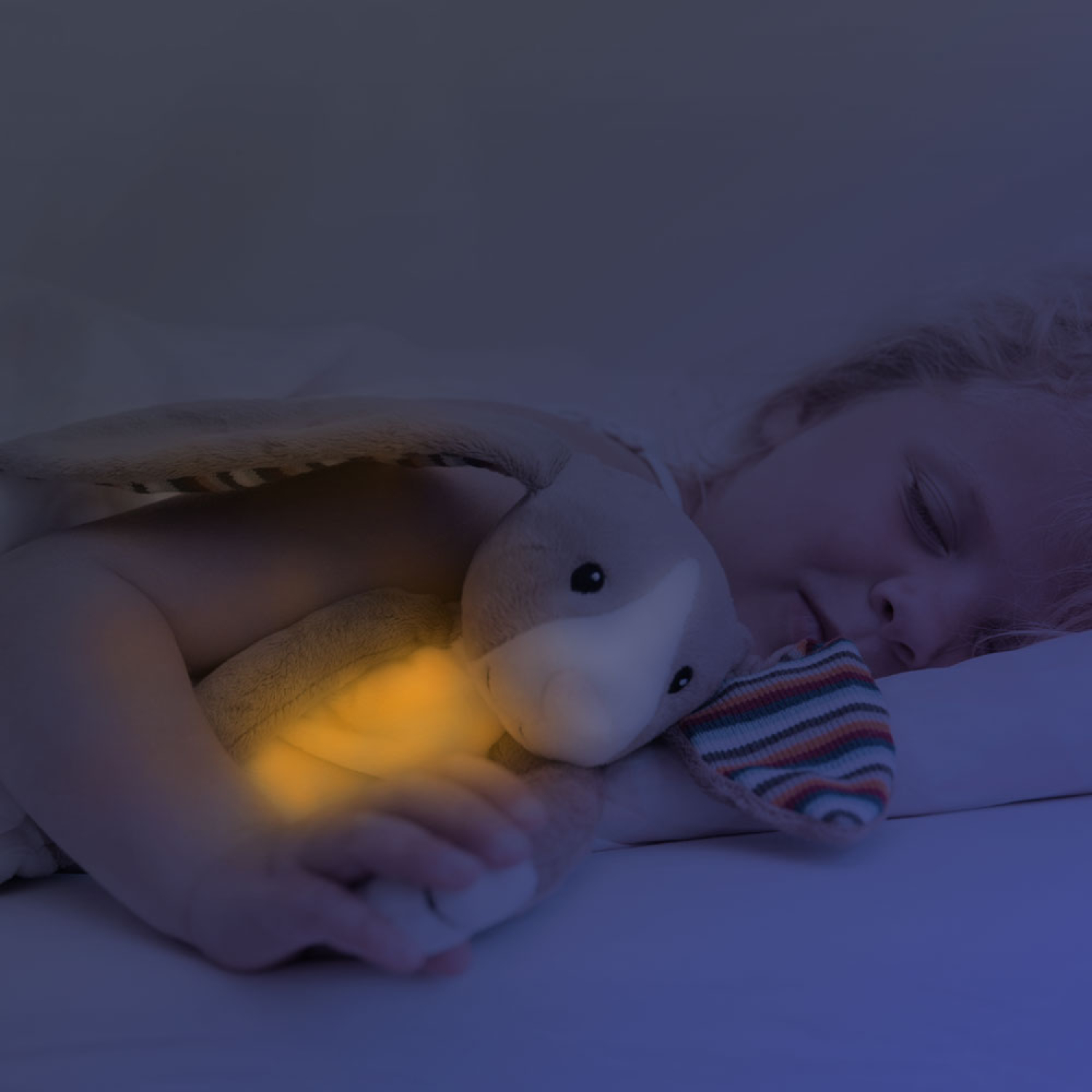 BO soft toy nighlight