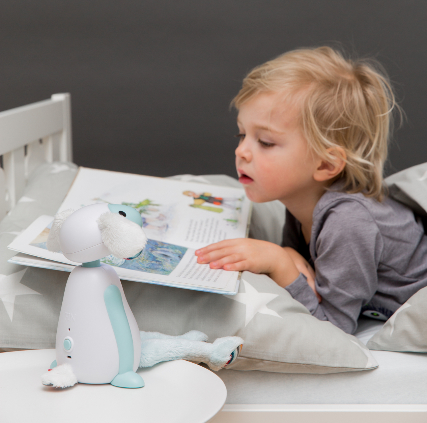 FIN Reading Light Blue