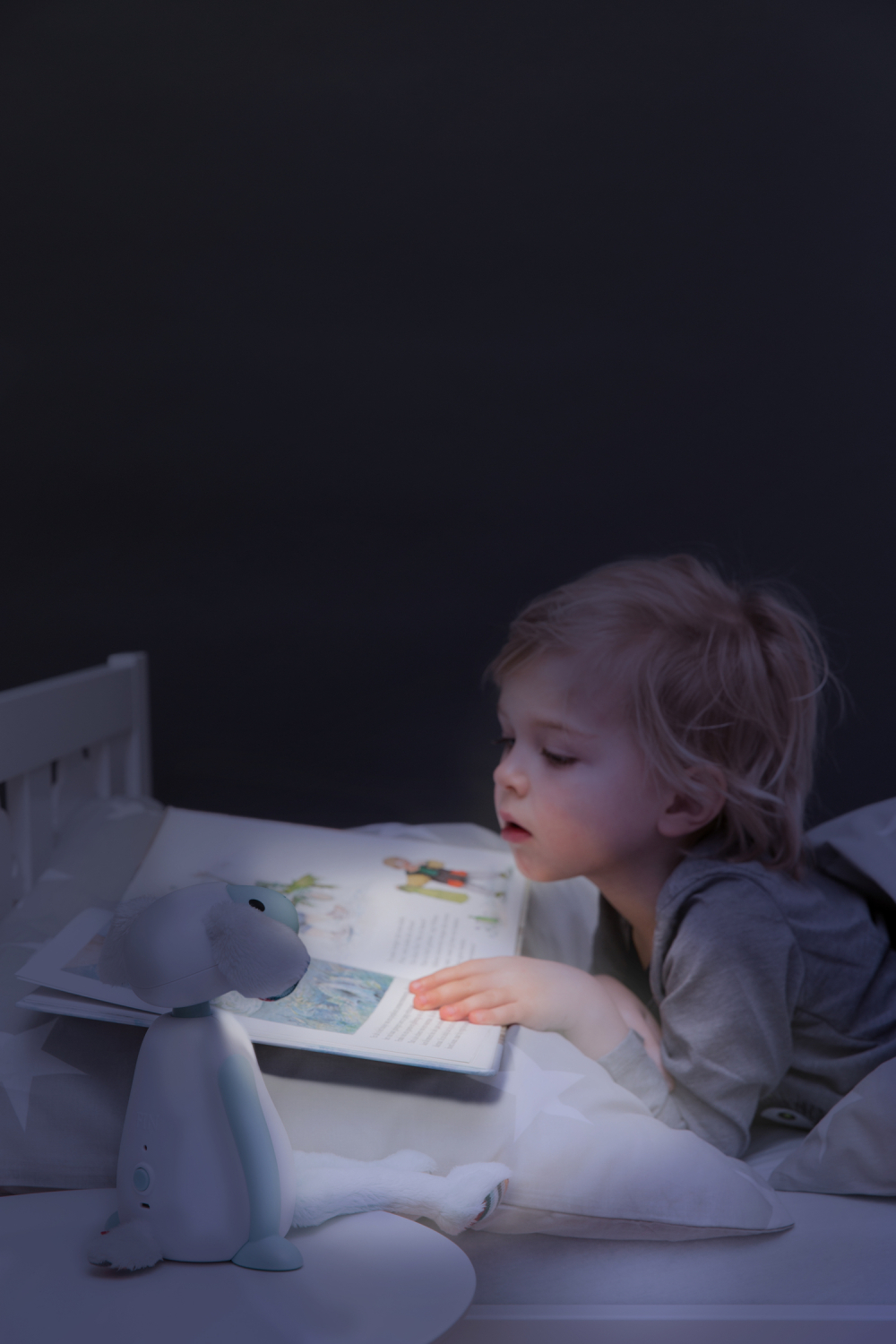 FIN Reading Light Blue