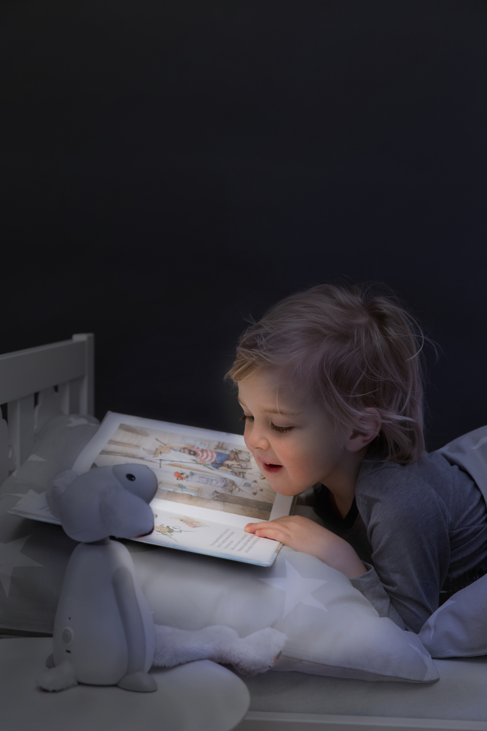 FIN Reading Light Grey