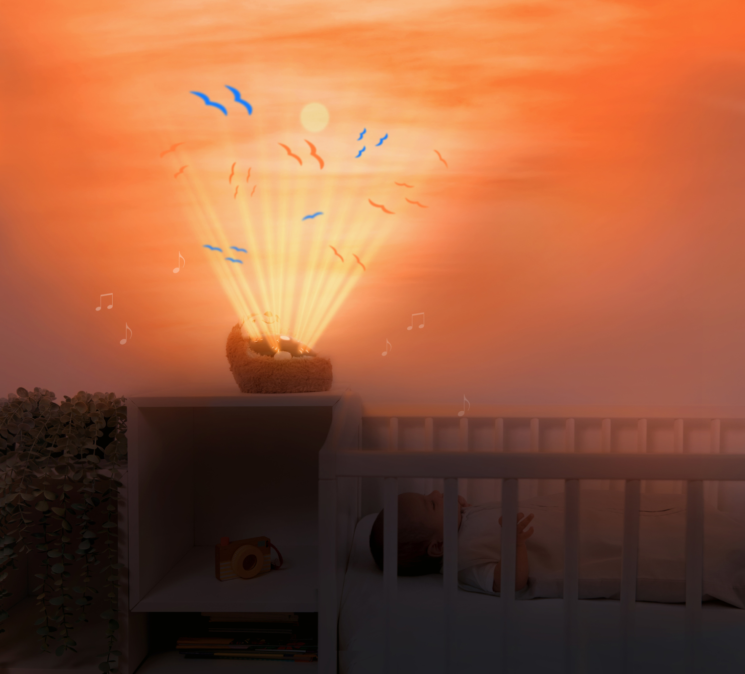 HENRY Sunset Projector